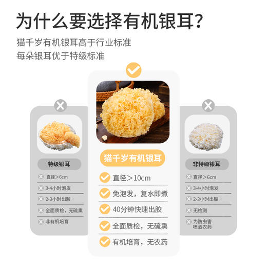 猫千岁有机干银耳 30g*6朵装 G021 商品图1