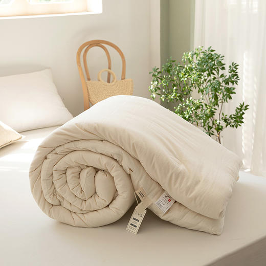 三泰龙 母婴级A类全棉大豆纤维被被春秋被 商品图6
