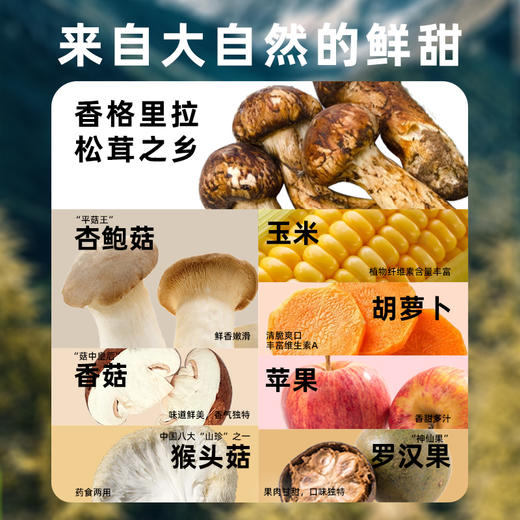 悠将松茸鲜调味料110g*2瓶送10袋35g 商品图2