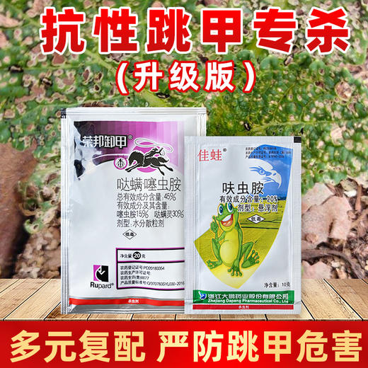 跳甲专杀套餐 哒螨噻虫胺甘蓝白菜蔬菜跳甲专用杀虫剂 商品图2
