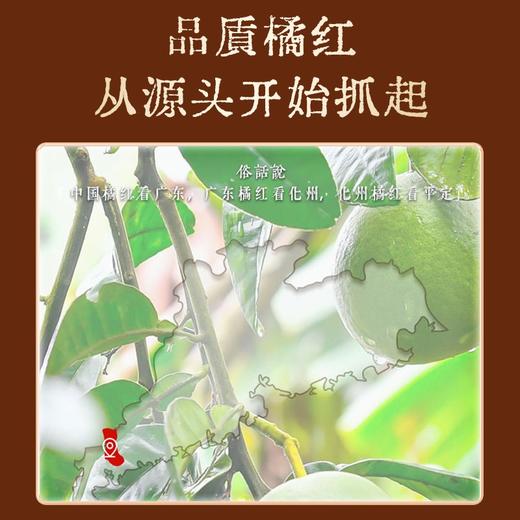 【30年树龄 古法工序0添加】李时珍化州橘红片80g/罐 商品图2