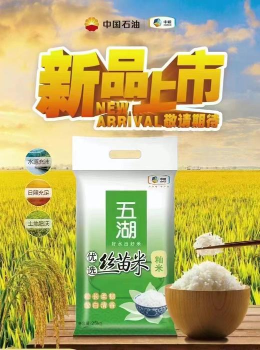 {北海直播}五湖 优选丝苗米 25KG 商品图0