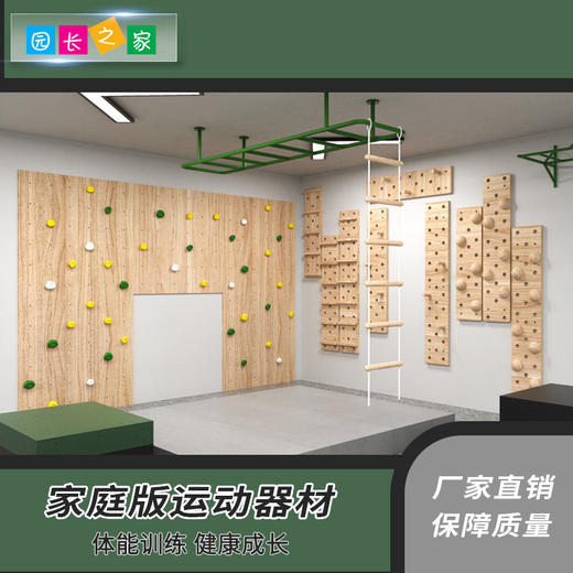 室内攀岩器械家庭版体能产品 商品图0