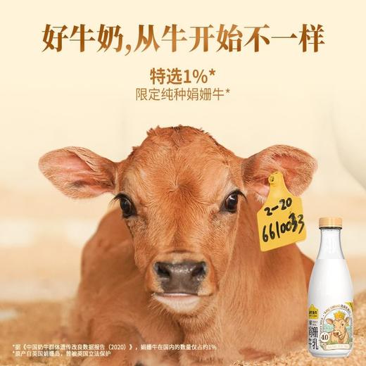 认养一头牛 PET冷藏娟姗牛乳 700ml/瓶 商品图1
