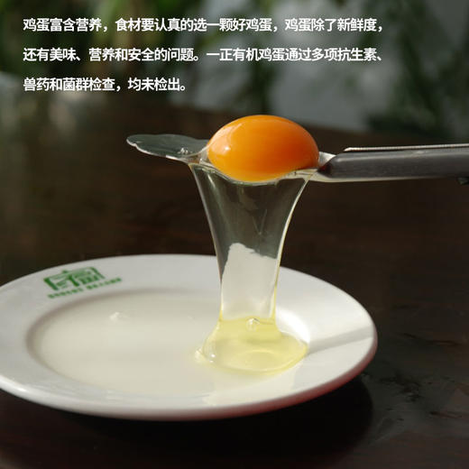 【厂商直发】有机山鸡蛋30枚无抗无农残散养新鲜土鸡蛋有机认证 商品图6