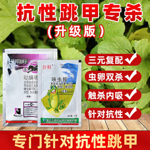 跳甲专杀套餐 哒螨噻虫胺甘蓝白菜蔬菜跳甲专用杀虫剂 商品图1