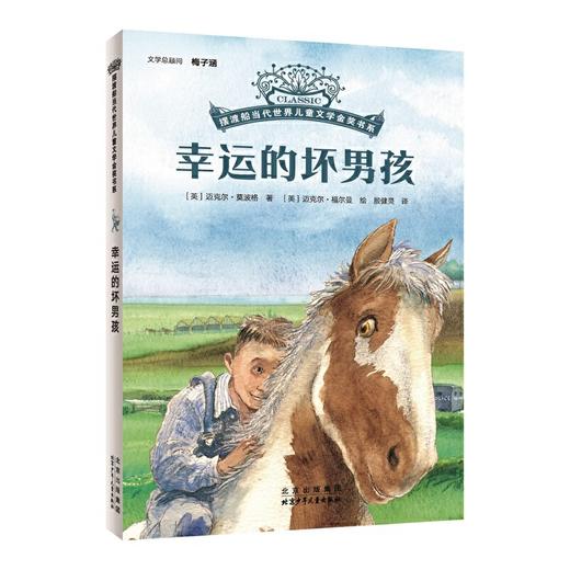 摆渡船当代世界儿童金奖书系：幸运的坏男孩([英] 迈克尔·莫波格 著) 商品图0