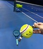 庆祝🎉郑钦文🎾冠军🏆！Jellycat 网球系列免代购费 商品缩略图3