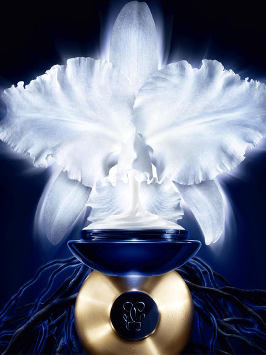 【3977元会员福利】娇兰御廷兰花卓能焕活修护面霜50ml    商品图1