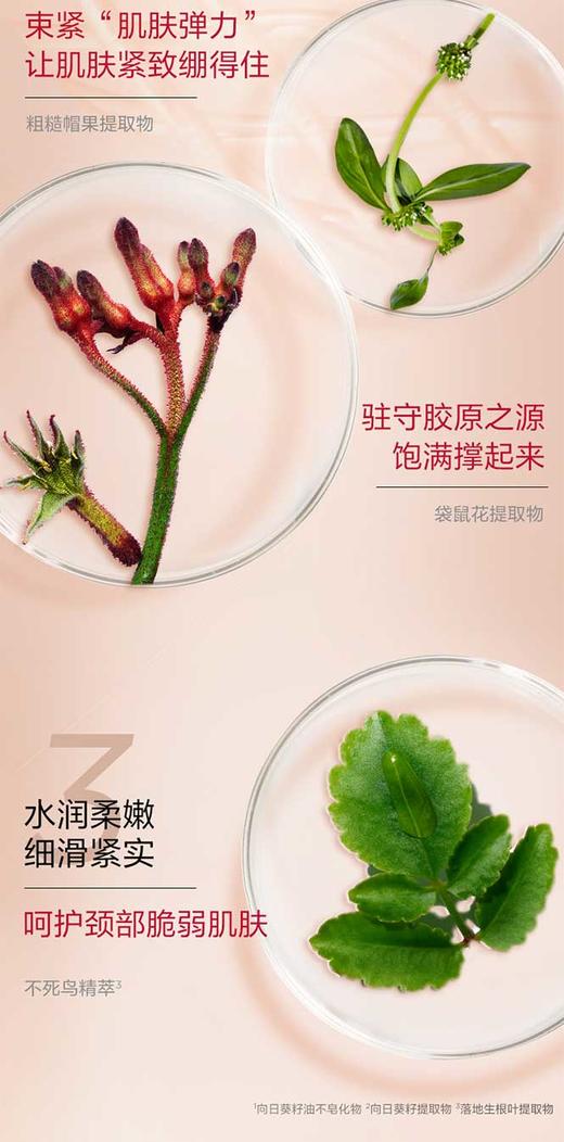 3666057156786	娇韵诗CLARINS	【优雅天鹅颈】焕颜弹力颈纹霜75ml紧致提拉细滑颈部纹路淡化 商品图3