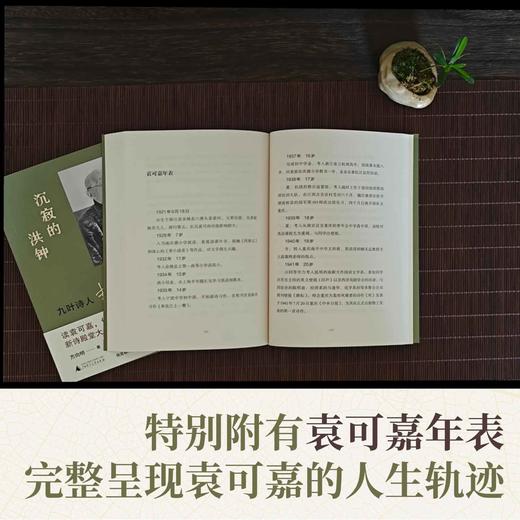 沉寂的洪钟：九叶诗人袁可嘉  方向明/著 商品图3