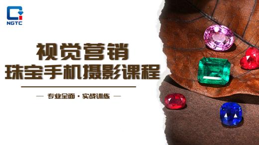 视觉营销·珠宝手机摄影课程 商品图0