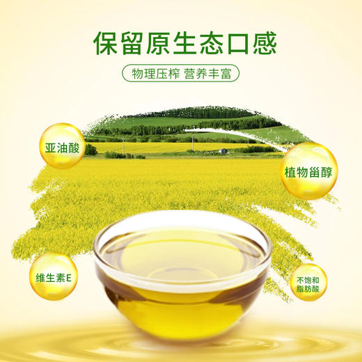绿洲果实一级菜籽油5L 物理压榨 商品图3