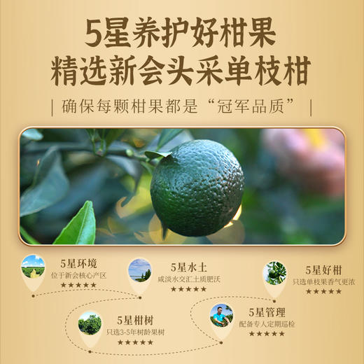 澜沧古茶2024年茶妈妈小青柑 陈皮普洱柑普茶 新会陈皮 云南普洱熟茶250g 商品图2