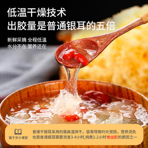 猫千岁有机干银耳 30g*6朵装 G021 商品图4