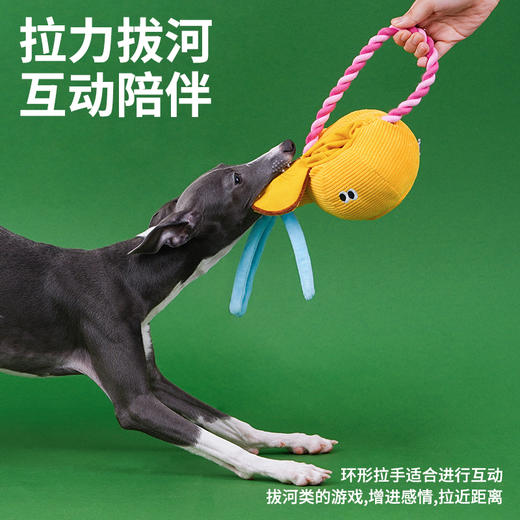 zeze茶壶咬绳玩具-B （包邮） 商品图3