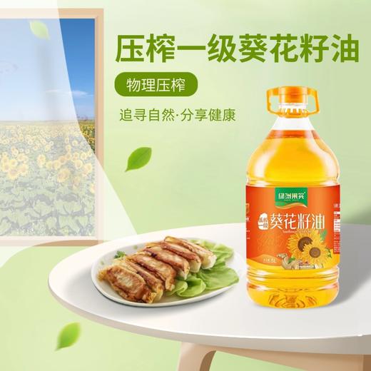绿洲果实一级葵花籽油5L 物理压榨 商品图2
