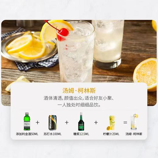 添加利伦敦干味金酒50ml*1瓶（酒版） 商品图1