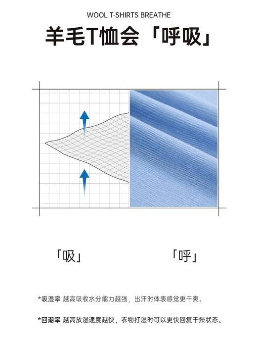 moolloo woolloo夏季上新100%可机洗美利奴羊毛男士呼吸T恤 商品图4
