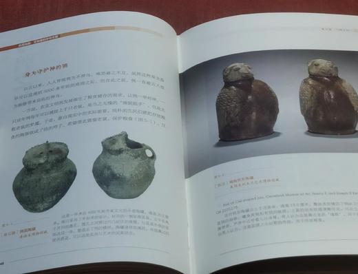 《此间鸟兽：文物里的中华文明》，精装，16开，任疆著，北京理工大学出版社2024年7月一版一印，635页，定价198，售价99元 商品图6
