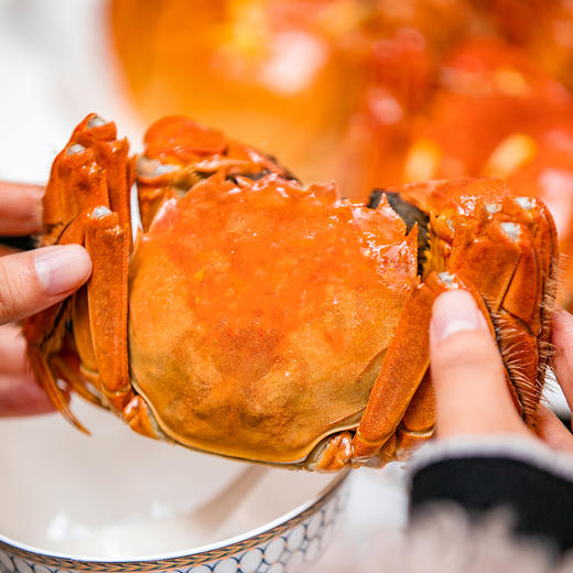 【新孟河大闸蟹礼卡8只装】新孟河M1808型大闸蟹礼品卡 3两母蟹*4只+4两公蟹*4只 生态养殖 出口品质 商品图6