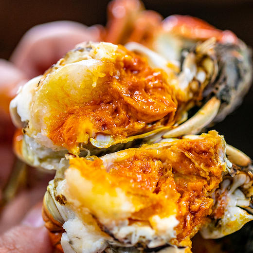 【新孟河大闸蟹礼卡8只装】新孟河M1808型大闸蟹礼品卡 3两母蟹*4只+4两公蟹*4只 生态养殖 出口品质 商品图5