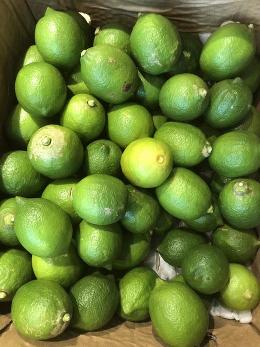 香水柠檬·云艳农场 商品图2