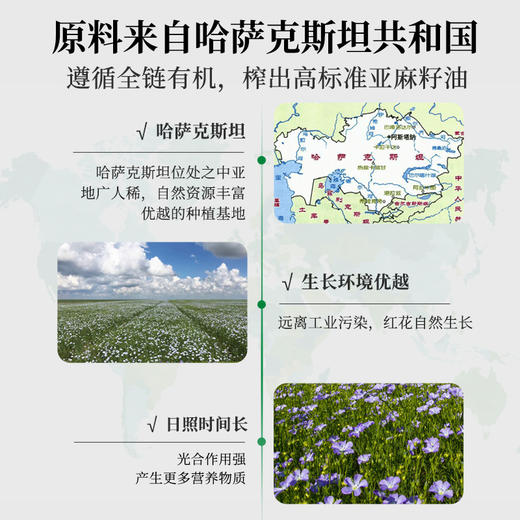 新疆绿洲果实有机亚麻籽油5L  一级籽油 商品图3