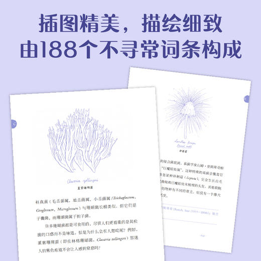 真菌词典（普林斯顿博物小词典系列，可以放进口袋的蘑菇迷你百科，我们一起在低处寻觅奇妙生命，真菌狂热分子的手心法宝）((美) 劳伦斯·米尔曼著 ; (美) 埃米·琼·波特绘 ) 商品图4