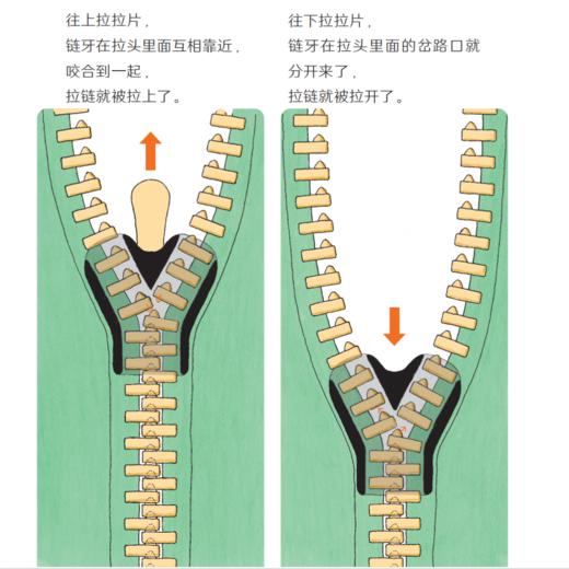 《科学之友经典图画书· 世界运转的奥秘》（共8册） 商品图6