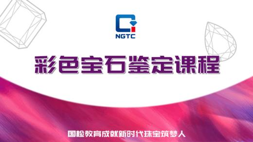 彩色宝石鉴定课程 商品图0