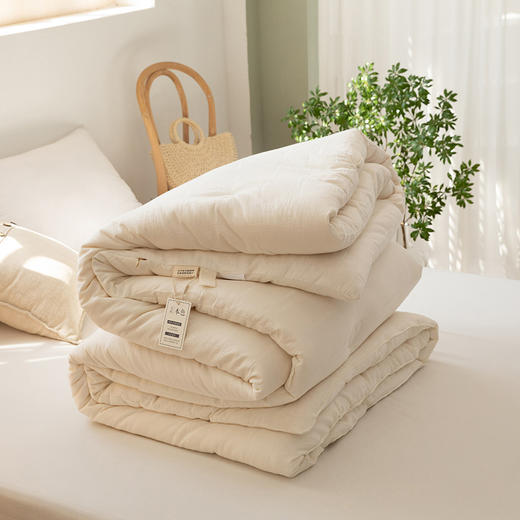 三泰龙 母婴级A类全棉大豆纤维被被春秋被 商品图5