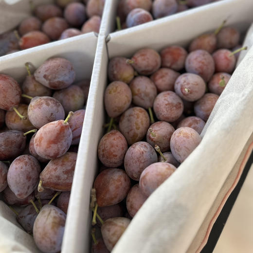 〔上海直发包邮06〕澳洲西梅 商品图1