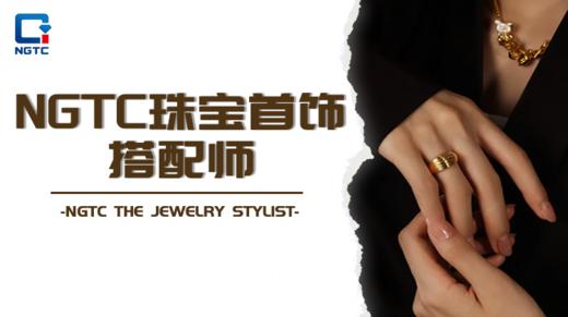 珠宝首饰搭配师 商品图0