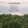 展会【天庆永】茗系列方罐 杉林溪玉露 浓香乌龙茶 商品缩略图1