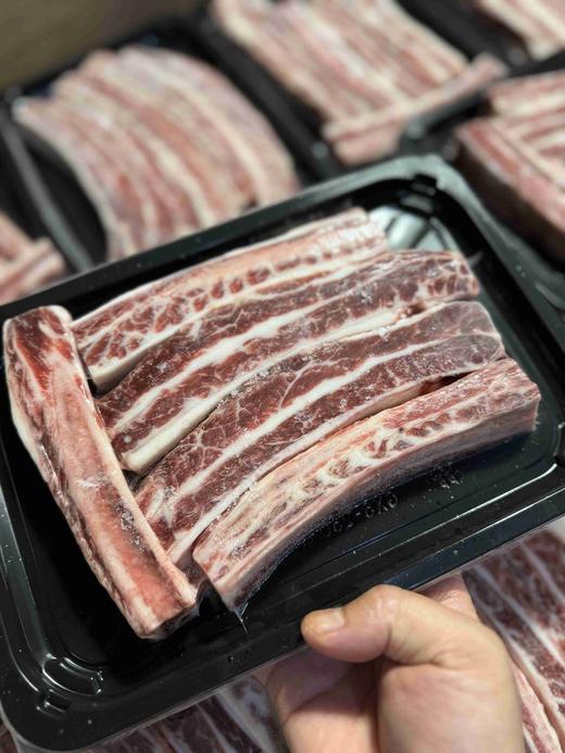 红凤凰和牛带骨牛小排！烤，煎，炖 都非常不错，肉质细嫩，香味扑鼻！高压锅20分钟可以直接拆骨。 商品图0