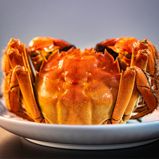 【新孟河大闸蟹礼卡8只装】新孟河M1808型大闸蟹礼品卡 3两母蟹*4只+4两公蟹*4只 生态养殖 出口品质 商品图3