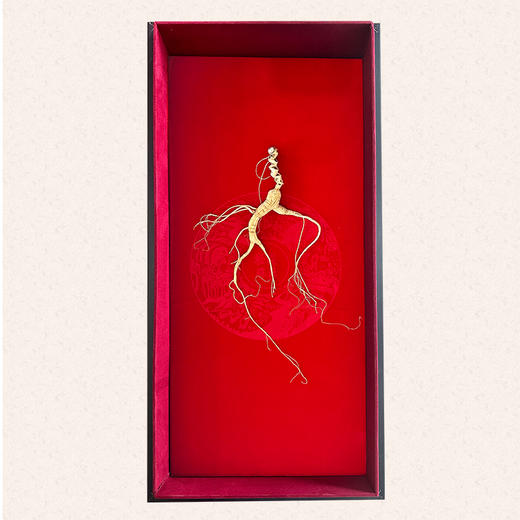 宣上医长白山野山参生晒参18+ 商品图2