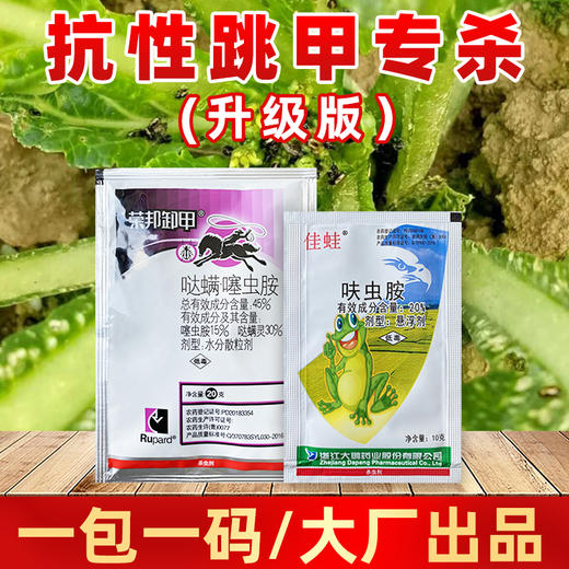跳甲专杀套餐 哒螨噻虫胺甘蓝白菜蔬菜跳甲专用杀虫剂 商品图3