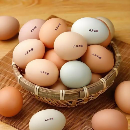 八乡山原生态土鸡蛋 商品图2