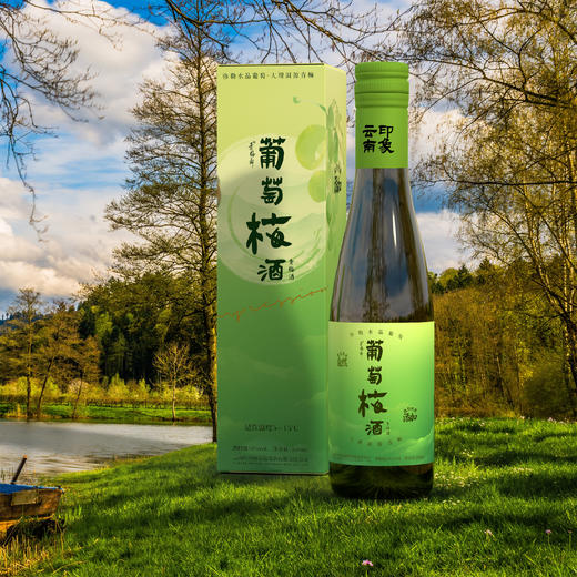 青梅酒5度 350ml*6/箱 商品图2