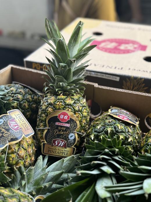 周四取货：【sw黑钻佳农凤梨】特惠:9.9元/个，一个2斤左右，凤梨香浓郁！甜而无酸！多汁无渣！不涩嘴！ 商品图0