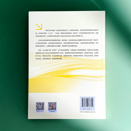 从新手走向专家 “定制式”工作坊校本研修项目实践 刘国华 商品图2