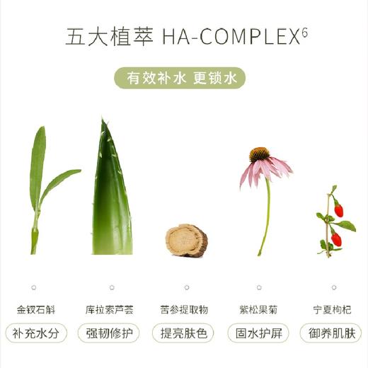 自然之名 酵母植萃卓能修护精萃液97酵母水精华水 商品图4