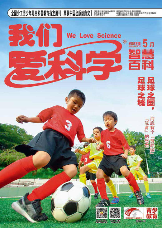 《我们爱科学少年版》魅力科学+智慧百科    2023年1-12月全年杂志 8-15岁适读 国家级少儿科普期刊 商品图8
