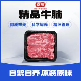 秦宝精品牛腩500g