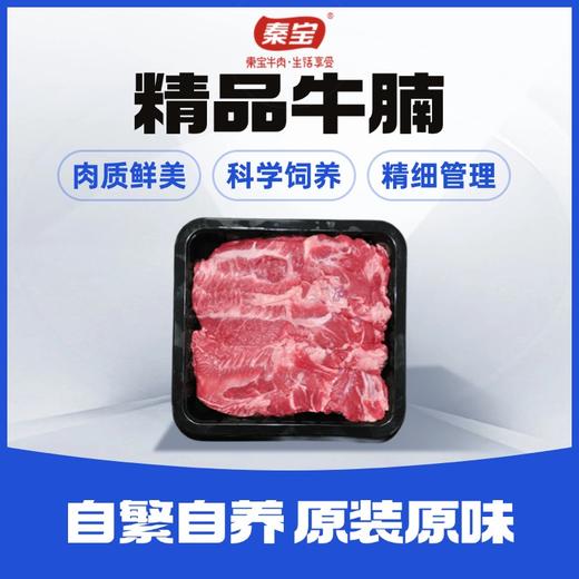 秦宝精品牛腩500g 商品图0