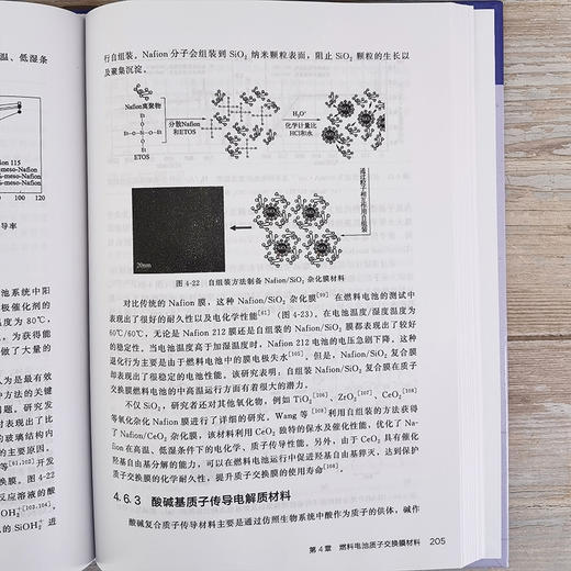 直接液体燃料电池--先进电化学能源存储与转化技术丛书 商品图8