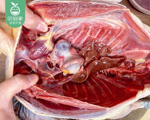 洛江山头水库散养270天黑羽土番鸭母（杀完带内脏1.9kg±200g/只） 商品图2