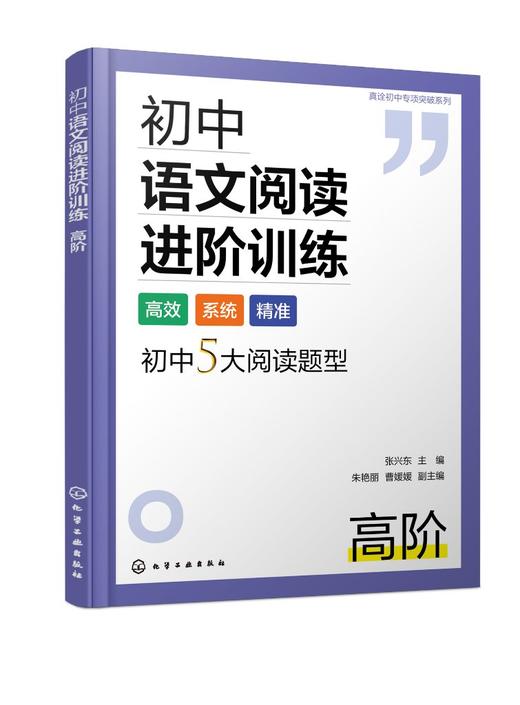 初中语文阅读进阶训练 高阶 商品图0